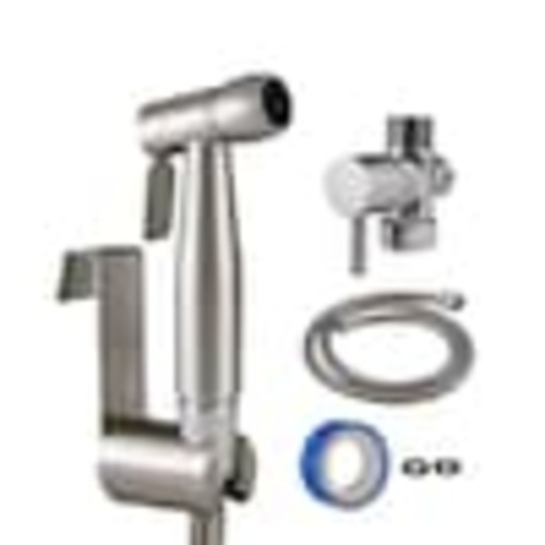 Aquaus Chrome Toilet Mounted Handheld Bidet Sprayer ABT-360 at Lowes.com