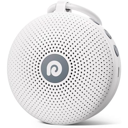 Dreamegg Machine à bruit blanc – Machine sonore portable pour bébé adulte, dispose d'une batterie puissante, de 21 sons apaisants pour dormir, machine sonore rechargeable pour bébé pour la maison, les