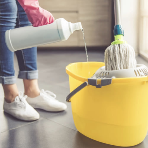 Professional House Cleaning