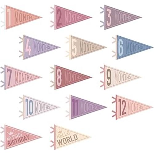 VitalCozy 14 Pcs Baby Milestone Pennant Signs Monthly Milestone Banner Flags Pennant Triangle Banner Age Flag Signs for Boy Girl Newborn Birthday Party Decor(Pastel Color)