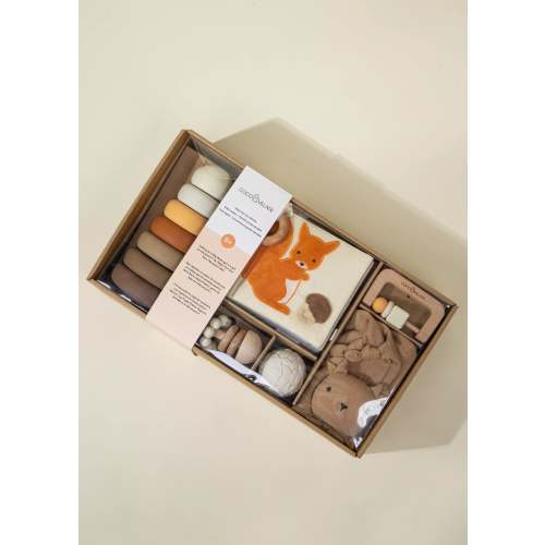 Baby First Toys Gift Box