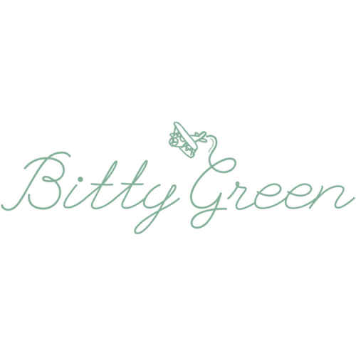 Bitty Green Bag for travel with kids