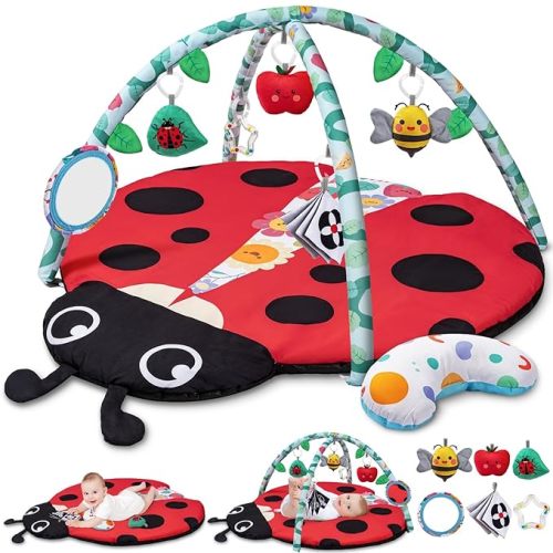 Baby Play Gym Mat