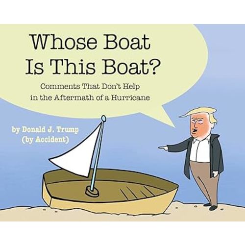 Whose Boat Is This Boat?: Comments That Don't Help in the Aftermath of a Hurricane