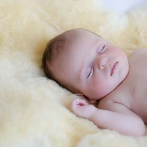 Bowron Babycare Sheepskin Rug in Shorn Lambskin – Baa Baby