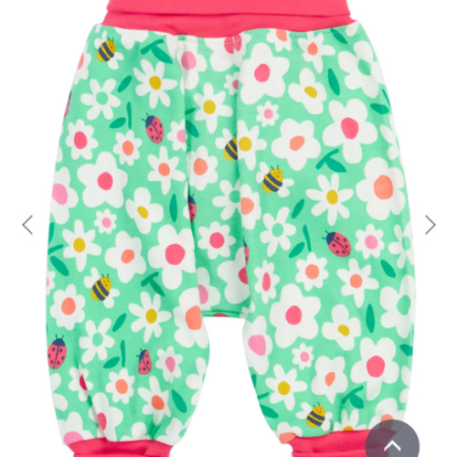 Parsnip Pants