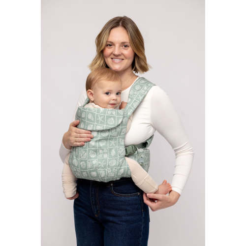 Coastal Aerial Carrier – WildBird