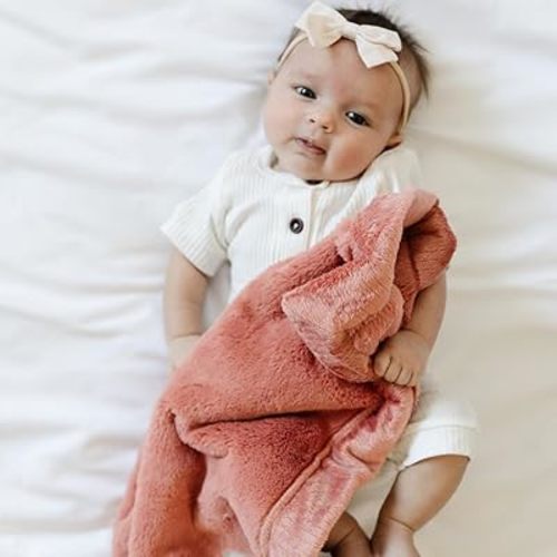 SARANONI Security Blankets for Babies Super Soft Boutique Quality Lush Luxury Baby Blanket (Mini 20" x 15", Clay)