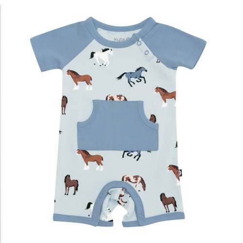 Shortall in Horse