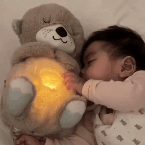 The Dreamy Otter – ALLENDE