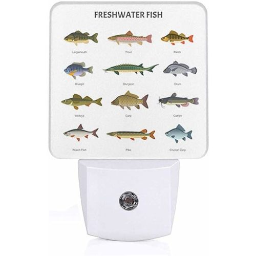 LED Night Light,Beautiful Underwater Lake Fish LED Night Light Plug into Wall with Dusk to Dawn Light Sensor White Energy Efficient Nightlight for Bedroom Bathroom Hallway Living Room Kitchen