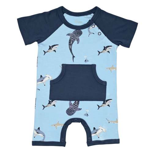 Shortall in Stream Shark