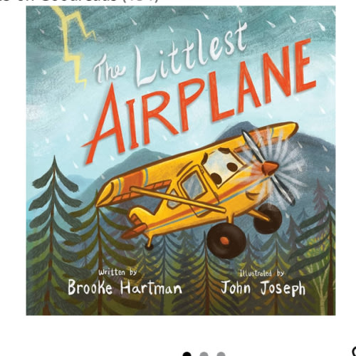 The Littlest Airplane