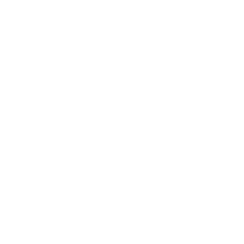 Zoe The Traveler Lightweight Stroller - Black