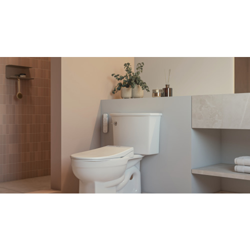 PureSpa Essential Hand-Held Bidet Sprayer | Brondell