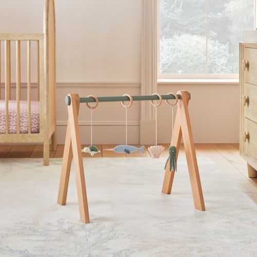 Under The Sea Baby Gym Accessories