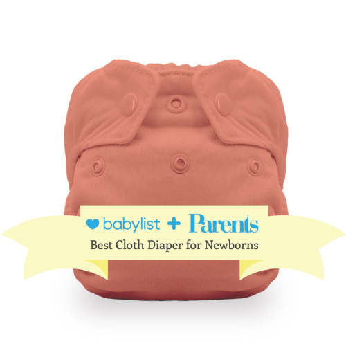 Best Rated Newborn All in One Cloth Diaper