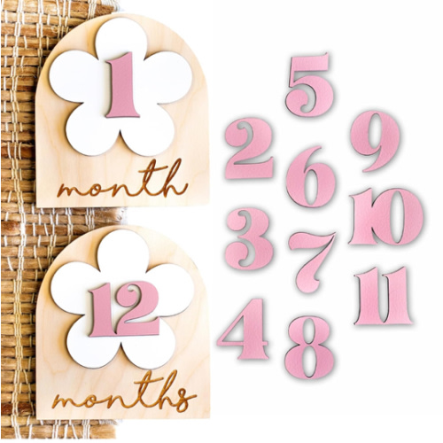 Baby Monthly Milestone Cards Monthly Milestone Discs Newborn Photography Props Baby Announcement Sign Baby Girl Wooden Boho Flower Milestone Card 1-2 Months Interchangeable Milestone (Boho Flower)