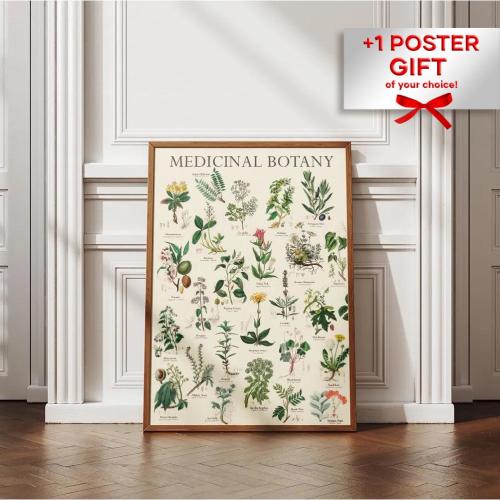 Vintage Medicinal Botanical High Quality Gallery Wall Digital Print
