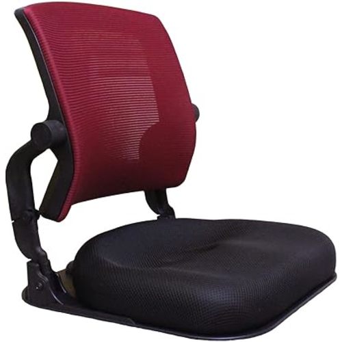 Floor Chair with Back Support