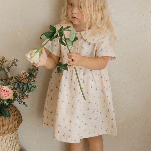 Bluebell Dreams Peter Pan Dress