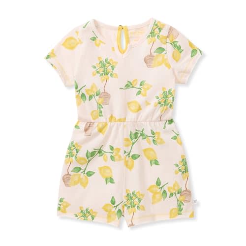 Burt's Bees Baby Baby Girls Romper, 100% Organic Cotton One-piece Shortall and Layette Set Girl Outfit