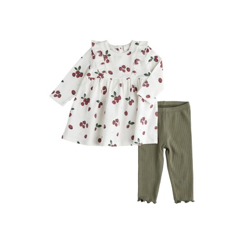 Raspberry Print Cotton Dress & Rib Leggings Set, 6M