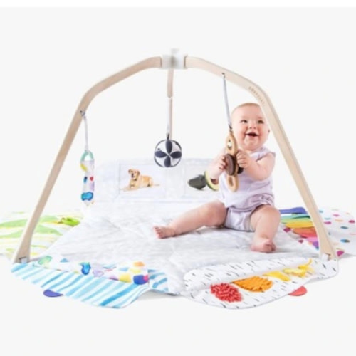 LOVEVERY | The Play Gym | Award Winning For Baby , Stage-Based Developmental Activity Gym & Play Mat for Baby to Toddler