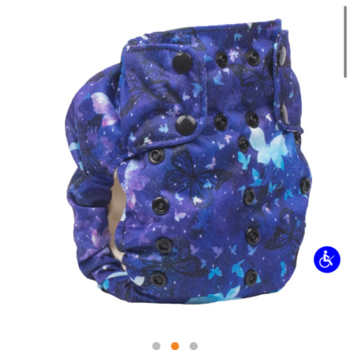 Smart Bottoms Smart One 3.1 Cloth Diaper - Little Wings