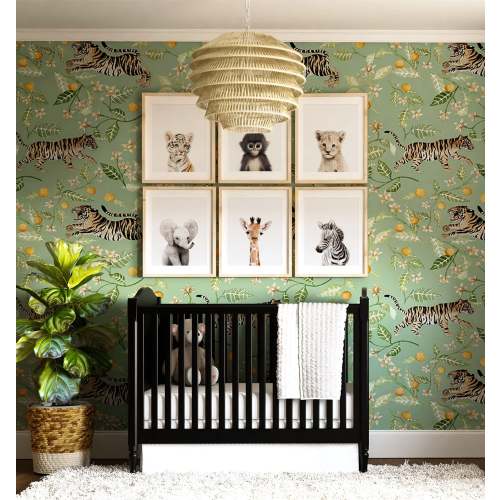 Baby Jungle & Safari Animals Set of 6 Nursery Decor Prints