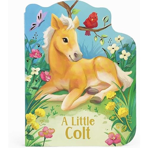 A Little Colt: A Baby Horse Board Book Story Board book – December 1, 2019
