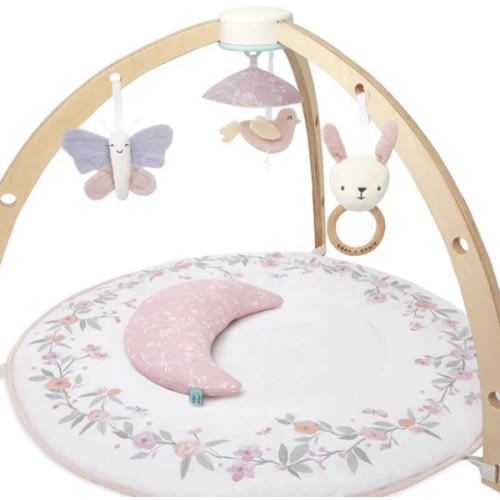 Baby Activity Gym