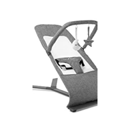 Baby Delight Alpine Deluxe Portable Bouncer | Infant | 0 – 6 months | Charcoal Tweed