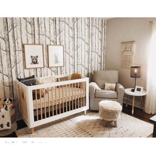 Crib and Nursery Decor Fund
