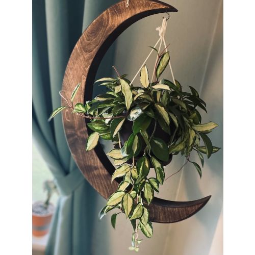 Moon Plant Hanger Plant Stand Indoor Planter Wood Plant - Etsy