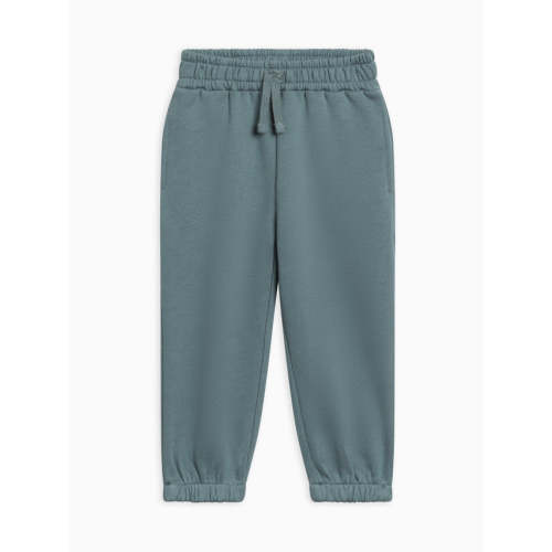 Organic Baby Joggers + Sweatpants | Colored Organics ®