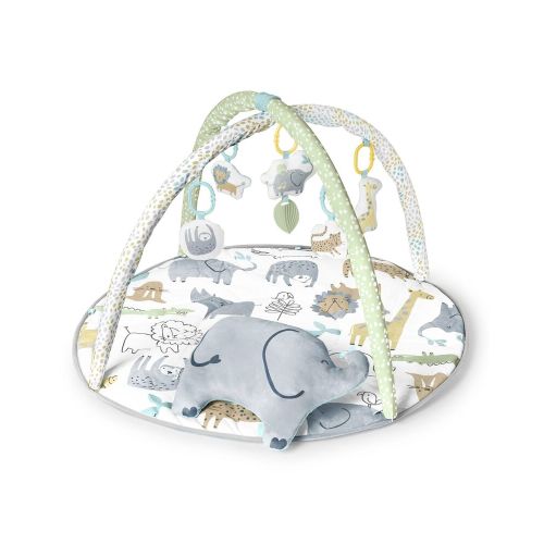 Safari Play Gym