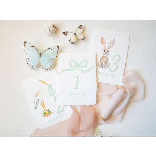 Monthly Milestone Cards - Etsy