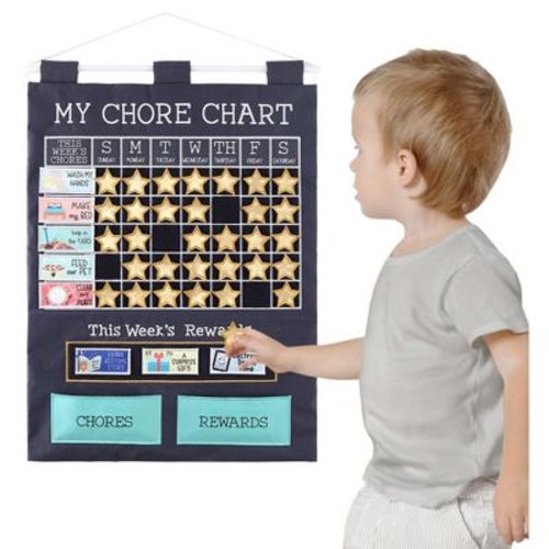 The Peanutshell Toddler Chore Chart, Reward Chart for Kid - 58 Pieces