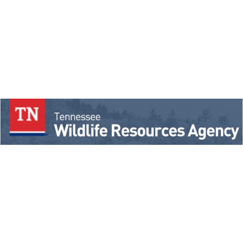 License Structure and Fees