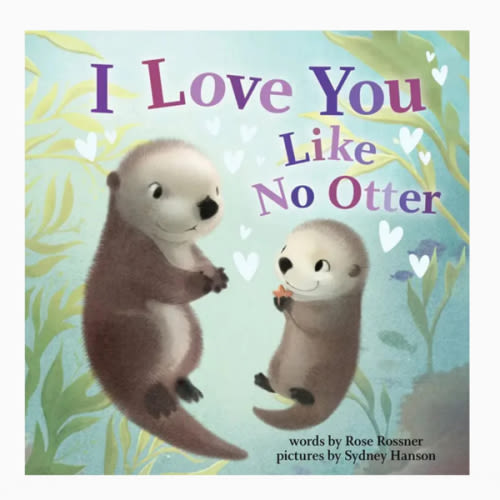 I Love You Like No Other Story Book