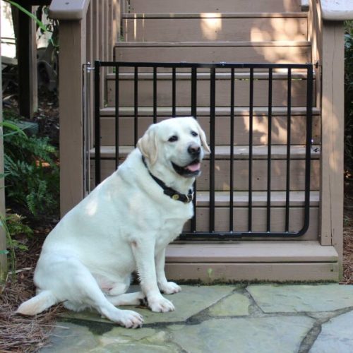 Outdoor Safety Gate (Model SS-30OD) - Cardinal Gates