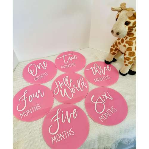 Pink Baby Monthly Milestones Set 5 inch Acrylic Milestones Discs, Newborn Photo Props, Baby Shower Gift, Hand Painted Milestone Discs
