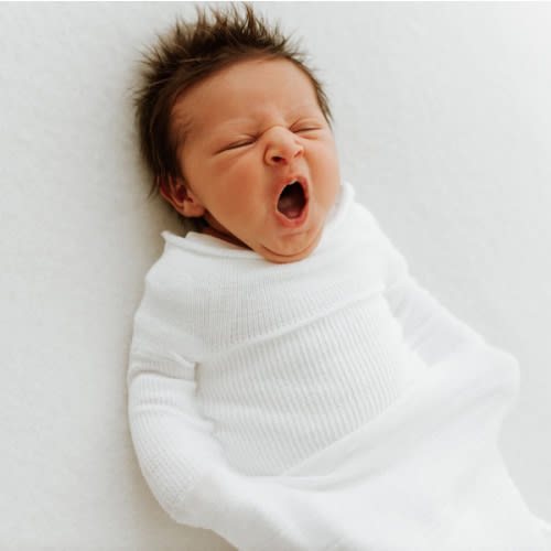 Bamboo Cloud Swaddle Sleep Sack – Swaddelini