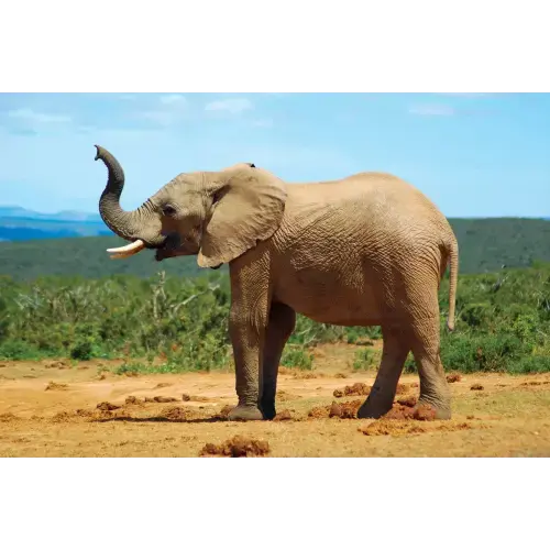 Cash Fund - Zoo Membership