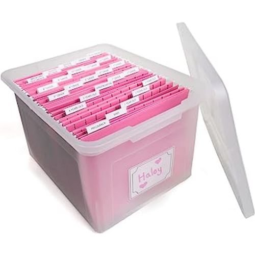 Kid's Craft Memory Keepsake Organizer Box - Clear Storage Latching Bin with Hanging File Folders and Custom Tab Inserts (Pink)