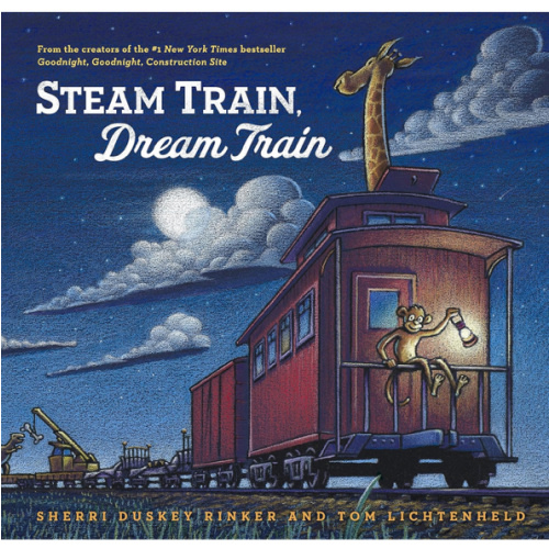 Steam Train, Dream Train (Hardcover)