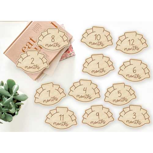 Dumpling Dim Sum Wooden Baby Monthly Milestone Markers & Discs for Newborn Babies - Baby&#39;s Milestone Moments | Baby Shower Gift