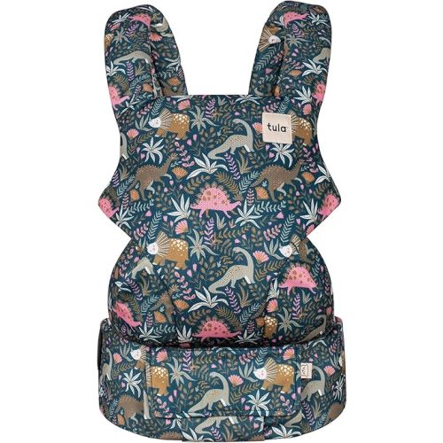Baby Tula Explore Mesh Baby Carrier 7 – 45 lb, Adjustable Newborn to Toddler Carrier, Multiple Ergonomic Positions Front and Back, Breathable and Cool – Tula Coast + Mesh, Land Before Tula