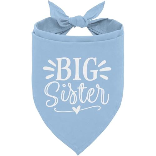Big Sister Light Blue Triangle Dog Scarf - Perfect for Small & Medium Dogs, Baby Announcement Design - One Size (M)